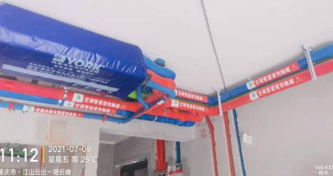 约克黄瓜视频下载18两联供